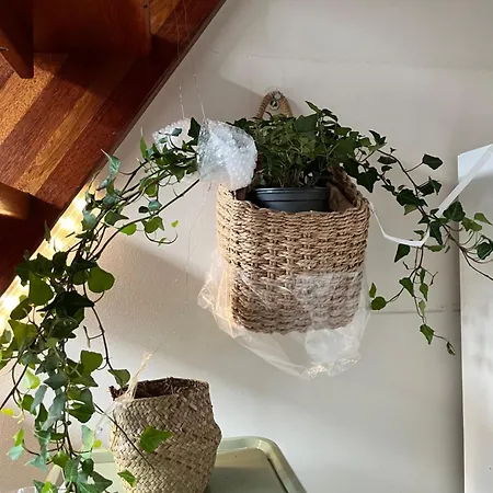 Large With Balcony - Heisenberg בית אירוח *