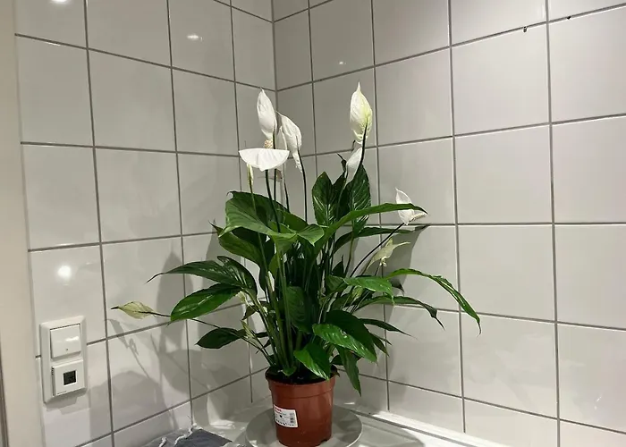 בית אירוח Large With Balcony - Downtown - Nearby Scandic Business Center Bus Stop *